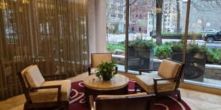 Incredible 1b1b in downtown Streeterville prime location Gallery 14