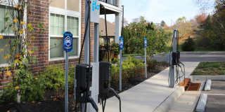 Element Oakwood Gallery 22