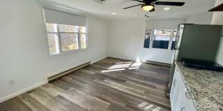 North AVL - Renovated 1920's Home with Separate 1/1 Apartment! Gallery 73