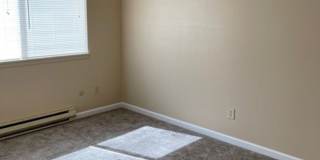 2-MUM Gallery 8