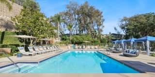 Artisan in Laguna Beach Gallery 30