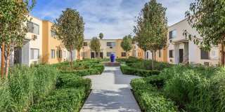 Anza Village Gallery 1