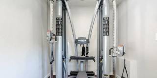 The Woods Gallery 10