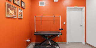 The Revival Gallery 68