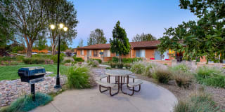 The Terrace Apartments Gallery 13