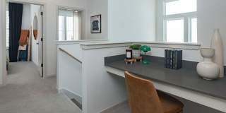 Vireo Medical District Gallery 16
