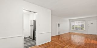 Vista (Loboda 1326) Gallery 1