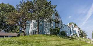 Whispering Lake Gallery 28