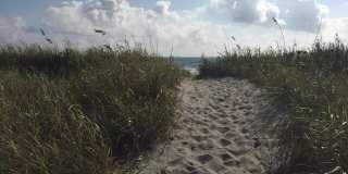 2103 S Ocean Boulevard Gallery 17