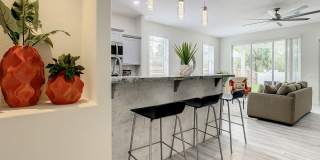 Beautifully Remodeled Citrus Park House Gallery 5