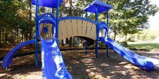 St. Andrews Reserve Gallery 17