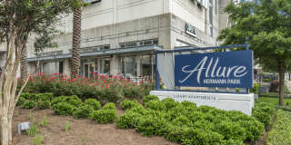 Allure Hermann Park Gallery 109