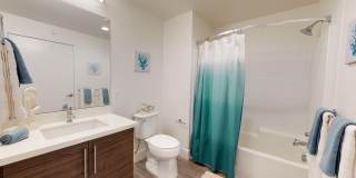 Del Oro on Broadway Gallery 17