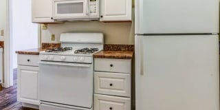 Park Shadows Gallery 1