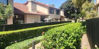 5151 Walnut Gallery 24