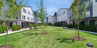 Fir Grove Gallery 27