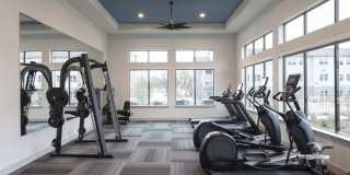 Prose North West Gallery 14