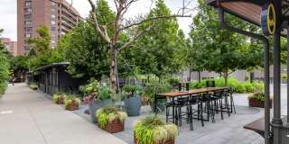 Crystal Place Gallery 1