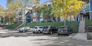 Avana Lexington Gallery 48