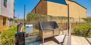 Rivera on Broadway Rivera on Broadway Gallery 37