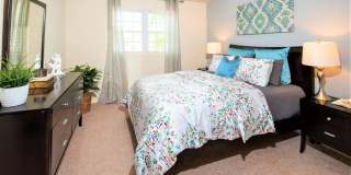 Colonial Square Gallery 8