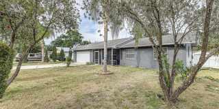 408 LAKE NED Gallery 2