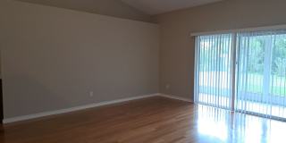 3413 Jasmine Trace Lane Gallery 7