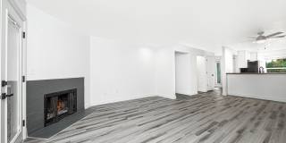 Terra Verde Gallery 11