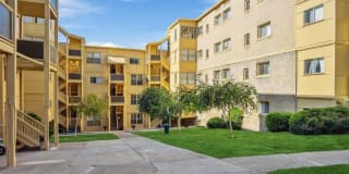 ReNew on Temple ReNew on Temple Gallery 34