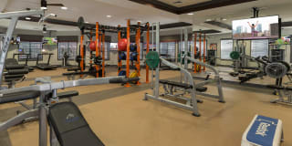 Integra 360 Gallery 11