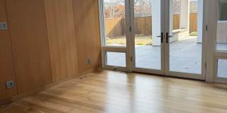 Silver Maple Stunning Gallery 11