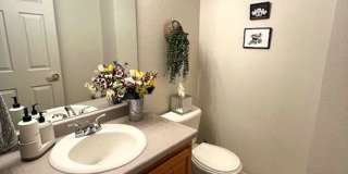 Winter Seasonal Rental- 213 Kestrel Lane Gallery 16