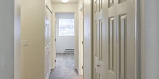Aspen Glade Gallery 17