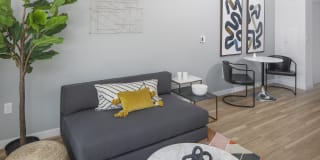 The Gossamer Gallery 6