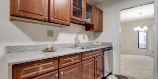 International Village Gallery 16