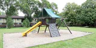 Springtree Gallery 9