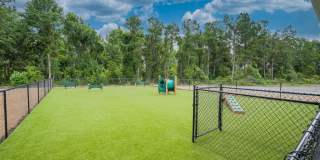 Hawthorne at Pine Forest Gallery 30