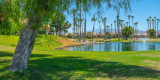 29777 Sandy Court Gallery 1