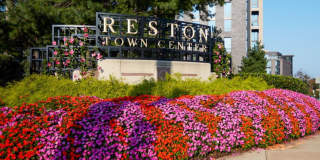 J Harbor Park at North Point Gallery 41