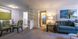 Brattle Drive Gallery 4