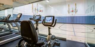 The Dylan The Dylan Gallery 40