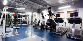 Highland Walk Gallery 26