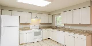 Newly Renovated Single Family Home | 3 BR/2BA | 1-Car Covered Parking | Gated backyard Gallery 8