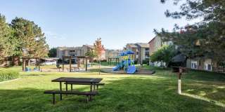 Cherry Creek Gallery 19