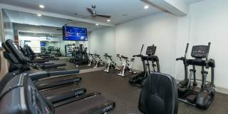 Richland Falls Gallery 13