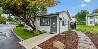 Shannon South Gallery 22