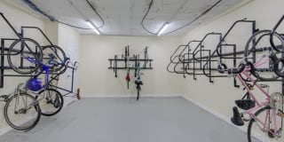 The Metropolitan Gallery 8