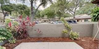 6262 142ND AVENUE N Gallery 3