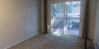 Winter Special-$500 Off-Spacious Three Bedroom, One & half Bathroom Townhouse Condo! Gallery 17