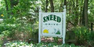 5917 SNEED Drive Gallery 27